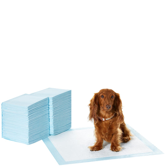 Standard-Absorbency, Regular-Size, 22 x 22-Inch, Blue and White, 100-Pack, Dog and Puppie Potty Training Pee Pads